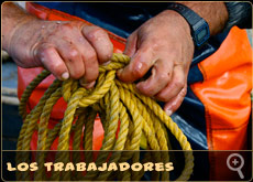 los trabajadores